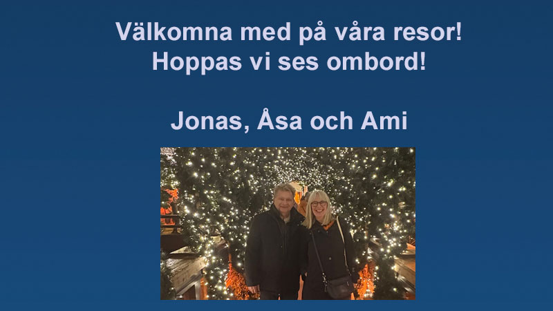Julmarknader