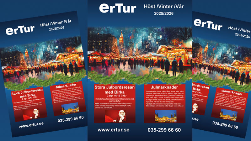 Hst Vinter vr