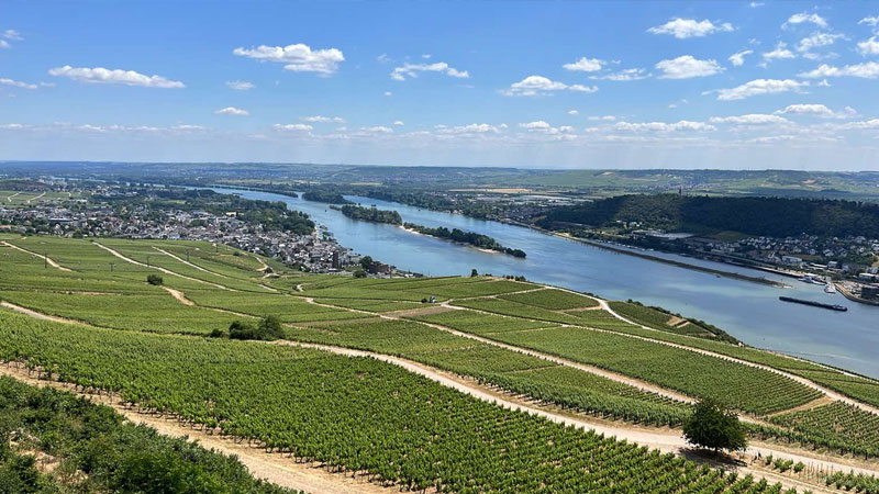 Aktiv resa till Rheingau Rdesheim