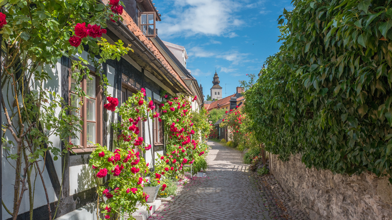 Visbykryssning Birka Gotland